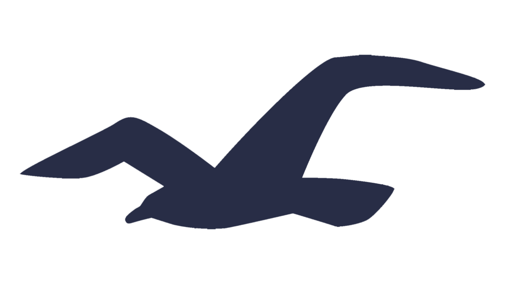 Hollister Logo and sign, new logo meaning and history, PNG, SVG